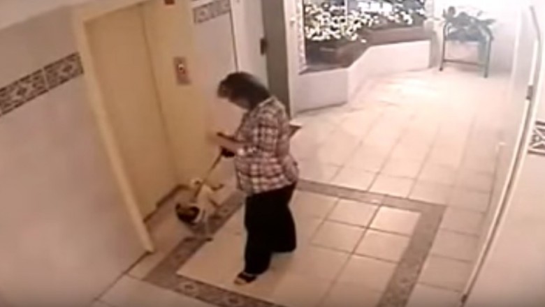 Porażająca bezmyślność właścicielki psa! Weszła do windy bez psa który był na smyczy!