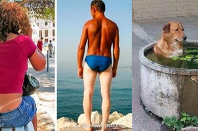 19 zdjęć udowadniających, że upał nie oszczędza nikogo! Na takie upału nie byliśmy przygotowani!
