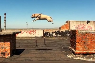Niesamowity parkour Amstafa! Nie mogłem oderwać wzroku od jego niezwykłych wyczynów!