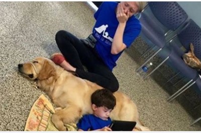 Jej 5-letni synek położył się na psie! Na ten widok mama nie mogła przestać płakać!