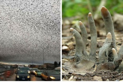 21 zdjęć pokazujących jak przerażająca może być natura! Od samego oglądania tych fotografii dostaje dreszczy! 