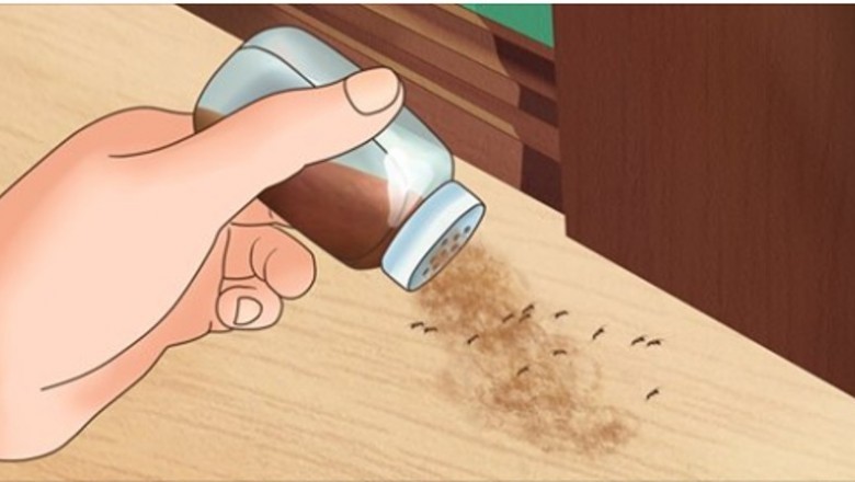 7 skutecznych sposobów na pozbycie się insektów z twojego domu. Karaluchy są najgorsze 