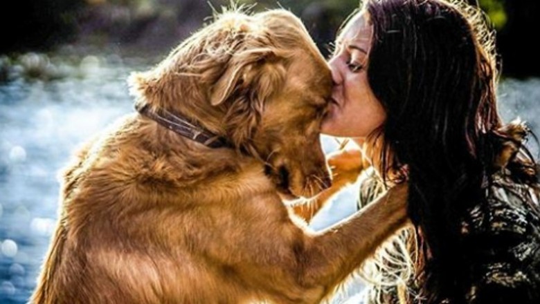 8 faktów na temat psów, pokazujących, że nie moglibyśmy bez nich żyć. To po prostu miłość na 4 łapach 
