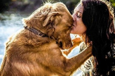 8 faktów na temat psów, pokazujących, że nie moglibyśmy bez nich żyć. To po prostu miłość na 4 łapach