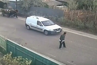 On miał konia na holu?! Seria niefortunnych zdarzeń z Rumunii