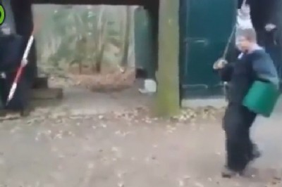 Nie chciał byś trafić na tego psa. Potrafi z wyskoku obalić człowieka