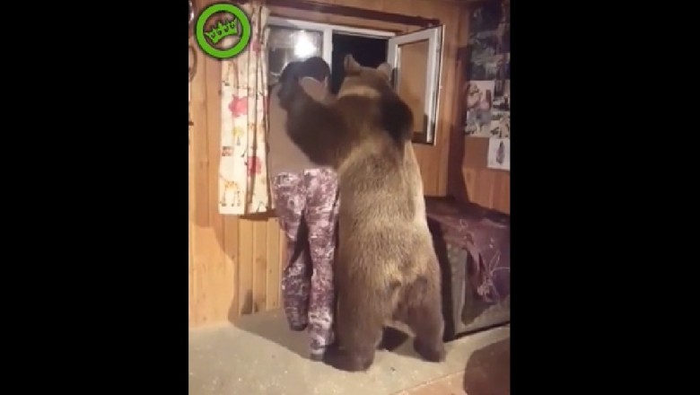 Trzyma w domu ogromnego niedźwiedzia jako pupila. To dopiero przyjaciel