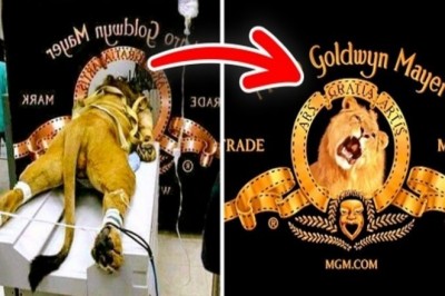 Zaskakujące fakty o logach znanych marek. Nawet nie przeszło Ci to przez myśl jak na nie patrzyłaś