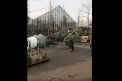 Prawdziwy mistrz sprzedawania choinek. Pojedzie z Tobą do chaty