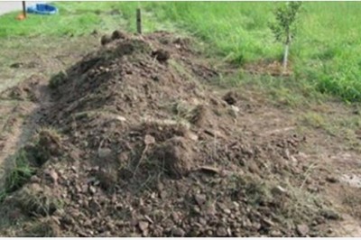 Policjanci usłyszeli dziwne dźwięki dochodzące z kupy ziemi. Gdy odkryli co jest pod nią aż zaniemówili