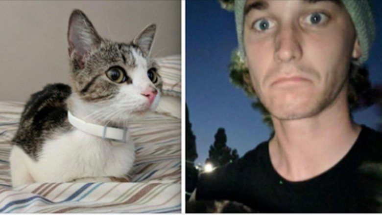 Załamany mężczyzna przygarnął do domu bezdomną kotkę. Następnego ranka przeżył wstrząs swojego życia