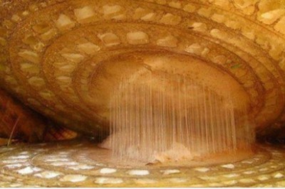 Niezwykły świat widziany pod mikroskopem. Te rzeczy otaczają nas na co dzień