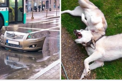 20 zdjęć, które oszukają Twój mózg bez problemu. Będziesz musiała się zastanowić jak to się stało 