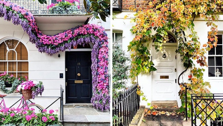 Uwieczniła na zdjęciach najpielniejsze fronty mieszkań w Londynie. Stworzyła niezwykłą galerie angielskiej architektury