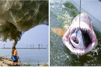 Te zdjęcia wyglądają jak z Photoshopa, ale to prawdziwe cuda natury! Ciężko uwierzyć