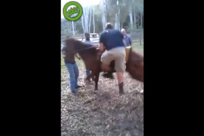 Znokautowany przez konia. Czyli nieudane wsiadanie na siodło