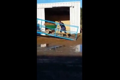 Dziewczyna kontra prace na gospodarstwie. Po tej akcji sama śmiała się z siebie