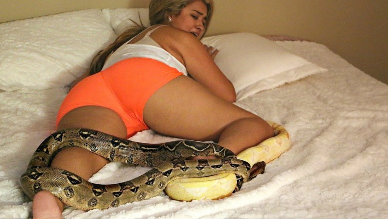 Chłopak dla żartu wrzuca dwa wielkie węże obok śpiącej dziewczyny