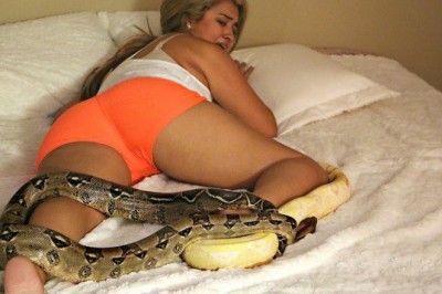 Chłopak dla żartu wrzuca dwa wielkie węże obok śpiącej dziewczyny