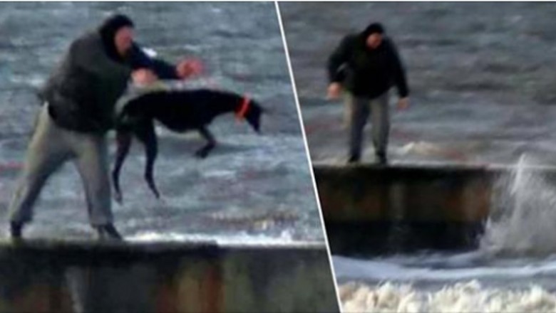 Wszedł na molo i bez wahania wrzucił swojego psa do zimnego morza. Świadkowie zdarzenia byli przerażeni 