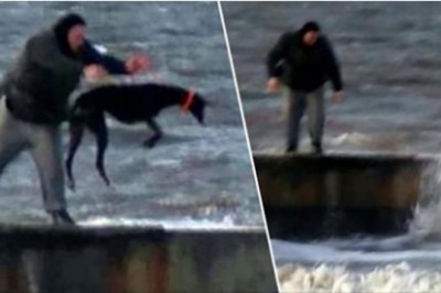 Wszedł na molo i bez wahania wrzucił swojego psa do zimnego morza. Świadkowie zdarzenia byli przerażeni