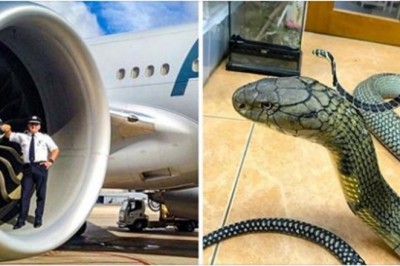 15 ekscytujących zdjęć, które wprawią cię w zdumienie. Niektóre porównania zapierają dech