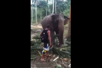 Turysta znokautowany podczas wycieczki. Chciał mieć świetną pamiątkę to ma