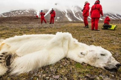 Nasza planeta jest w o wiele słabszej kondycji niż Ci się wydaje. Te zdjęcia są tego najlepszym dowodem 