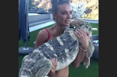 Fajna dziewczyna w bikini kontra jej nietypowy pupil