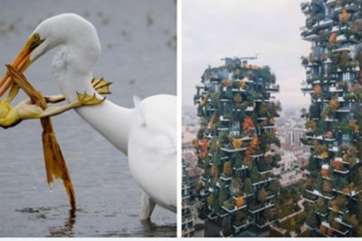 20 zapierających dech zdjęć z  konkursu National Geographic. Najpiękniejsze oblicza natury