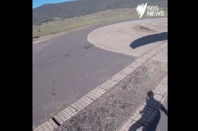 Lądujesz sobie ze spadochronem w Australii, a tu nagle taka sytuacja