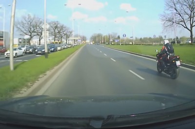 Zderzenie motocyklisty z jeleniem we Wrocławiu. Ostatnia rzecz jakiej się spodziewasz na mieście