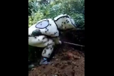 Pajacował z ogromnym gniazdem szerszeni. W krytycznym stanie wylądował w szpitalu