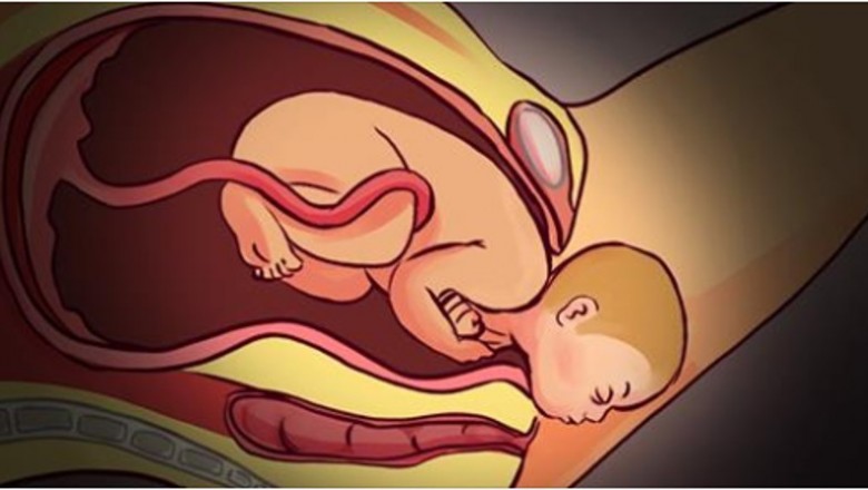 9 fascynujących faktów na temat ciąży, które pokazują, że kobiece ciało jest pełne niespodzianek