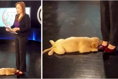 Te słodkie zdjęcia rozjaśnią nawet najbardziej pochmurny dzień. Zbiór czystej miłość