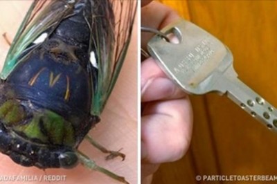 20 osób które doświadczyły czegoś, co trudno wytłumaczyć. Czasem sama natura mówi Ci, że czas coś zjeść