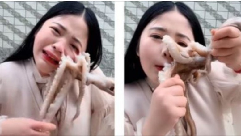 Próbowała zjeść żywą ośmiornicę. Zwierze postanowiło przyssać się do jej twarzy 
