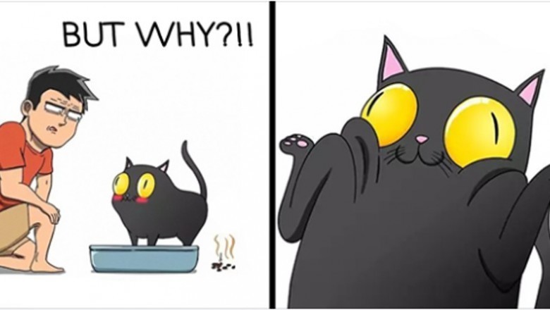20 komiksów pokazujących jak naprawdę wygląda życie z kotem. Każdy właściciel to potwierdzi