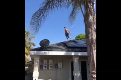 Seba i jego popis na sam początek lata. Chyba go za mocno przygrzało 