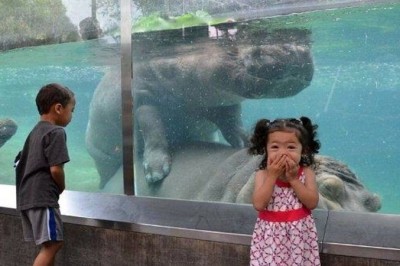 Te zdjęcia są przykładem, że zwykła wycieczka do zoo może przejść najśmielsze oczekiwania i wszystkich zawstydzić