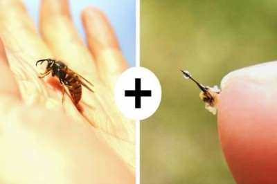 10 zasad pierwszej pomocy, które mogą okazać się przydatne w razie nagłej sytuacji