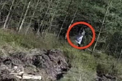 Natknęli się w lesie na staruszkę z dziecięcym wózkiem. W nim była lalka z wyłupanymi oczami