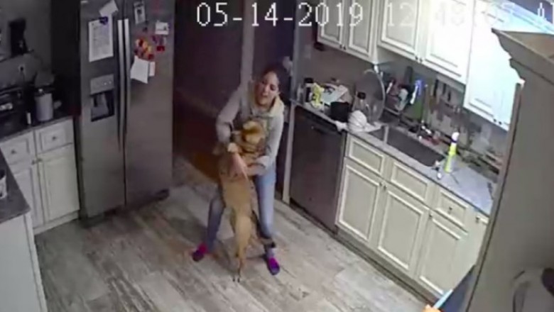 Odkrył co jego dziewczyna wyprawia z psem gdy nie ma go w domu
