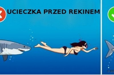 18 faktów, które zupełnie Cię zaskoczą. Będziesz sądzić, że to niemożliwe