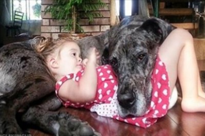 Te zdjęcia są idealnym dowodem, że pies jest najlepszym przyjacielem człowieka. Czasem jedynym