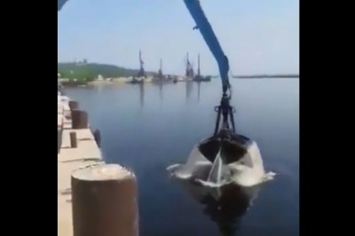 Gorąco Ci w pracy? Zobacz jak ten ziomek radzi sobie z upałami 