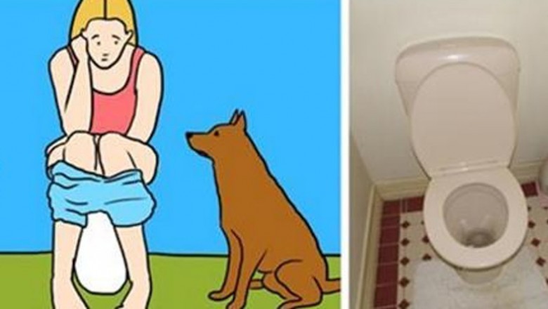 Twój pies zawsze idzie za Tobą do toalety?  Chce przekazać bardzo ważna wiadomość