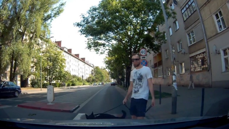 Chamskie zachowanie typa z psem na przejściu we Wrocławiu 