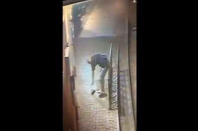 Seba niepokonany samozaorany. Nagranie z Wyspy Słodowej we Wrocławiu 