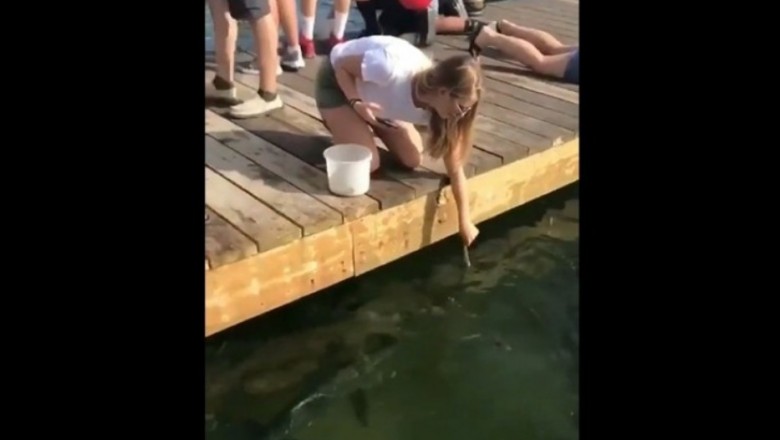 Blondynka kontra wygłodniałe rekiny. Zdjęcia na instagram już raczej nie wrzuci
